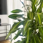 Luxury Retreat- 2-bedroom, 2-bath Апартаменти *